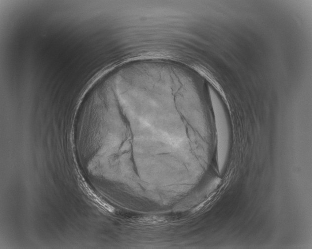 X0000081590797200702121513