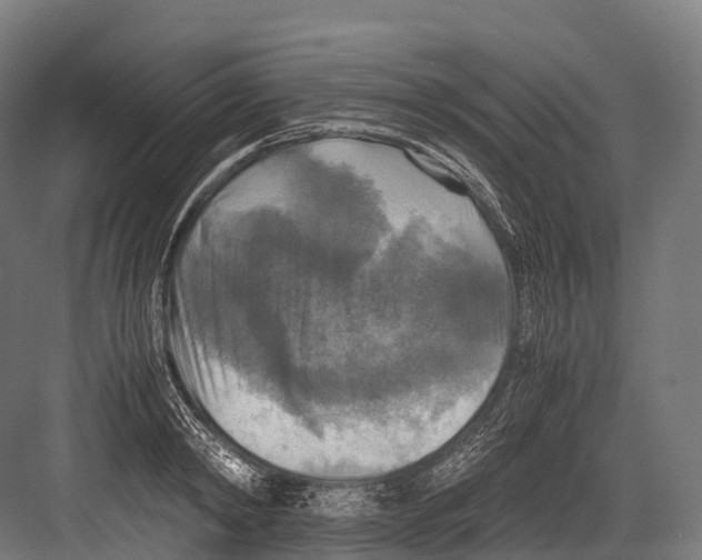 X0000081590798200702121513