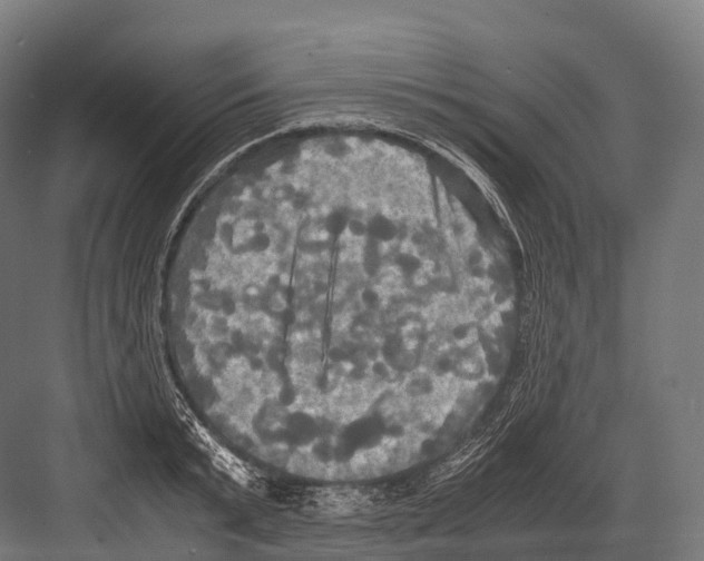 X0000081590799200702121512