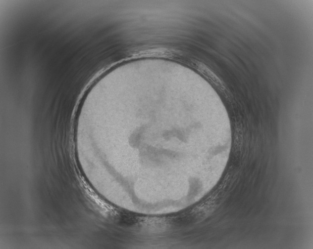 X0000081590800200702121512