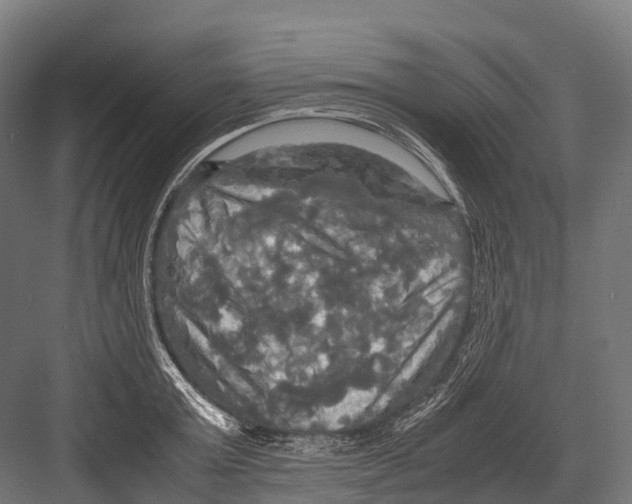 X0000081590803200702121512