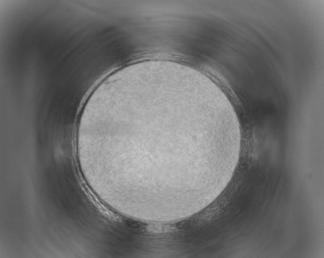 X0000081590804200702121512