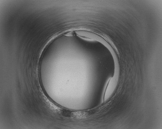 X0000081590805200702121512