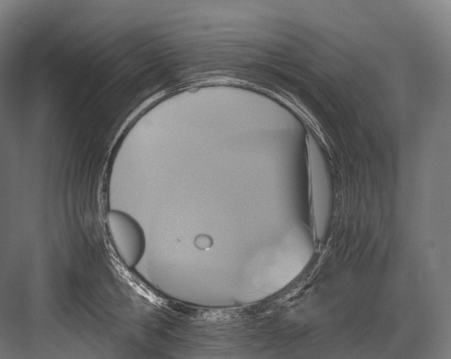 X0000081590806200702121512