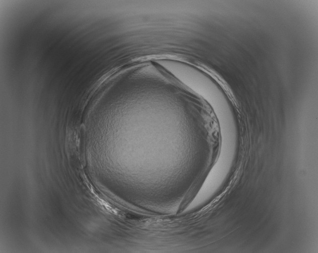 X0000081590809200702121512