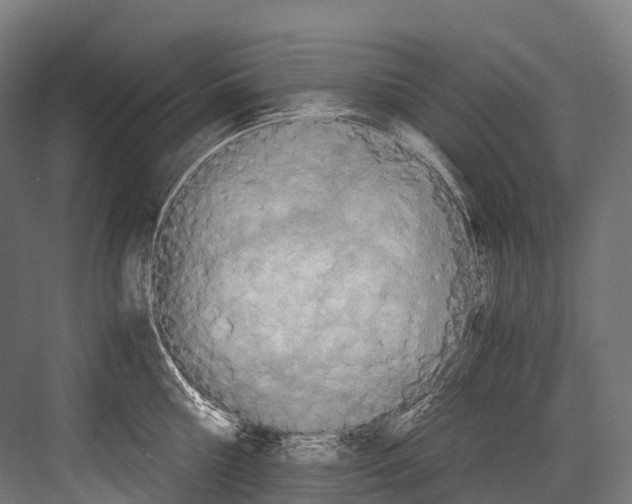 X0000081590810200702121512