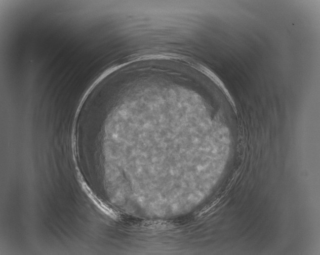 X0000081590811200702121512