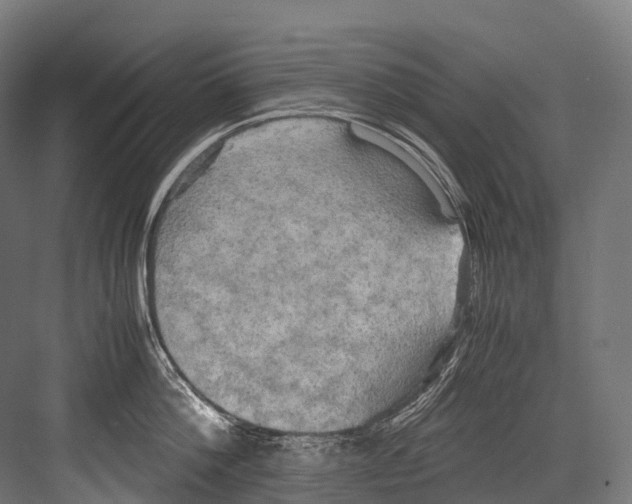 X0000081590812200702121512