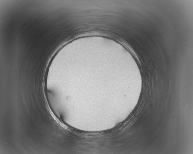 X0000081590813200702121512