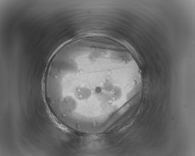 X0000081590814200702121512