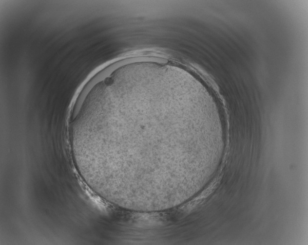 X0000081590816200702121512