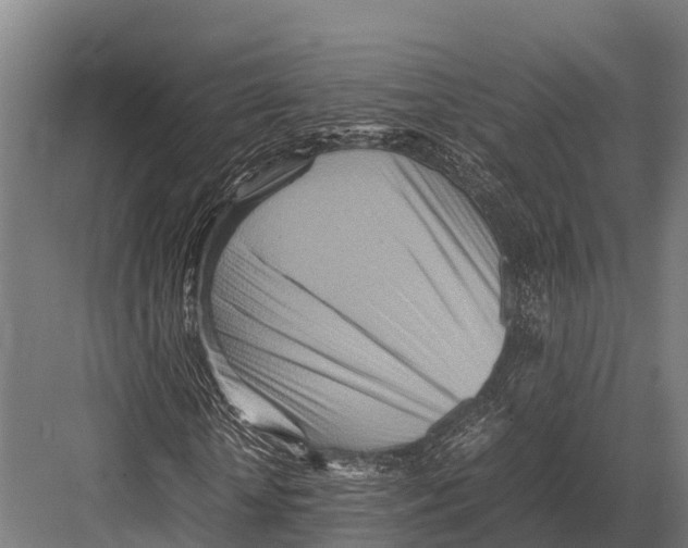 X0000081590818200702121511