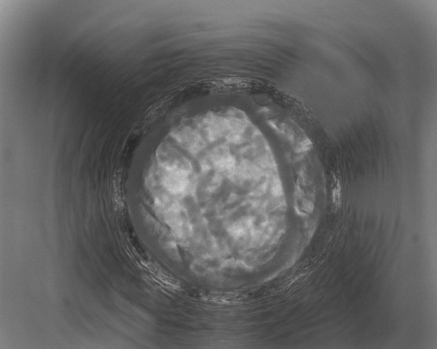 X0000081590819200702121511