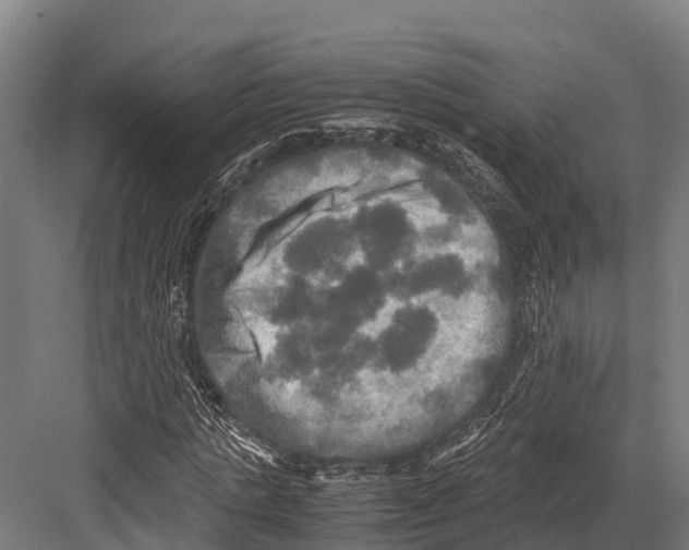 X0000081590821200702121511