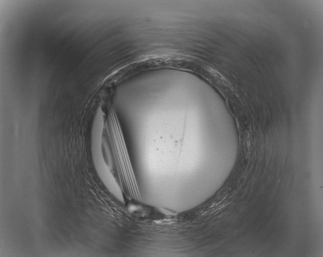 X0000081590822200702121511