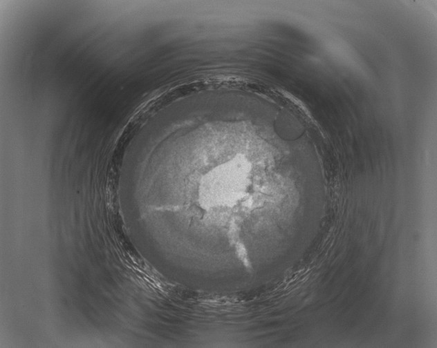 X0000081590823200702121511