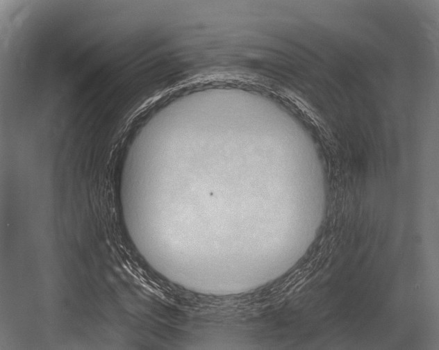 X0000081590824200702121512