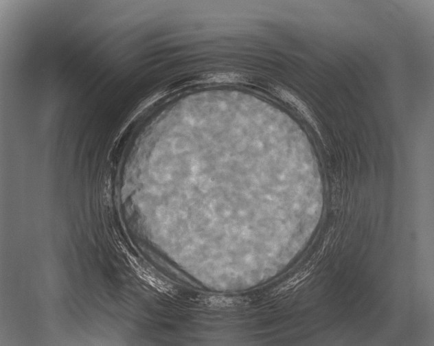 X0000081590827200702121512