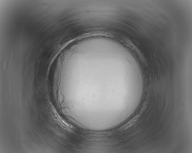 X0000081590828200702121512