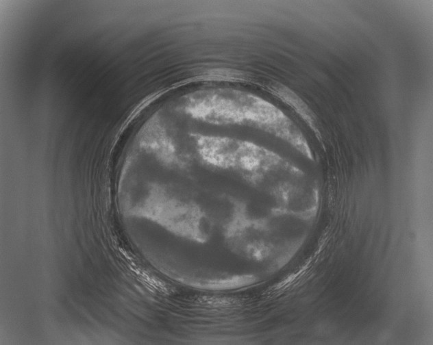 X0000081590829200702121512