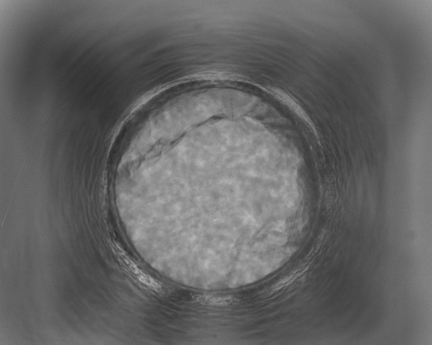 X0000081590831200702121512