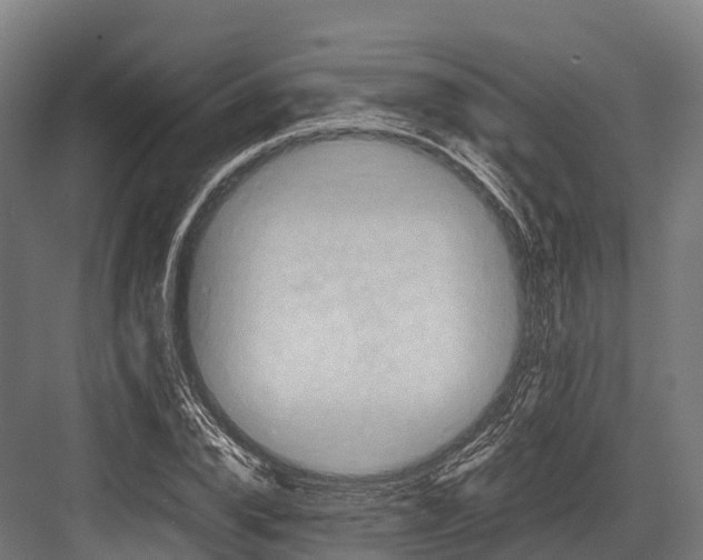 X0000081590832200702121512