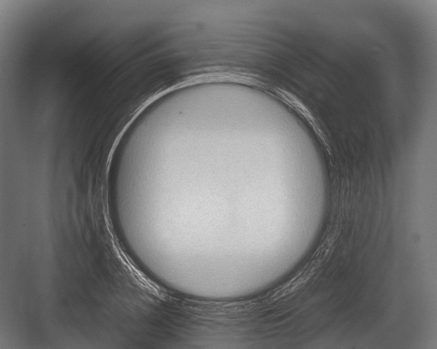 X0000081590836200702121512