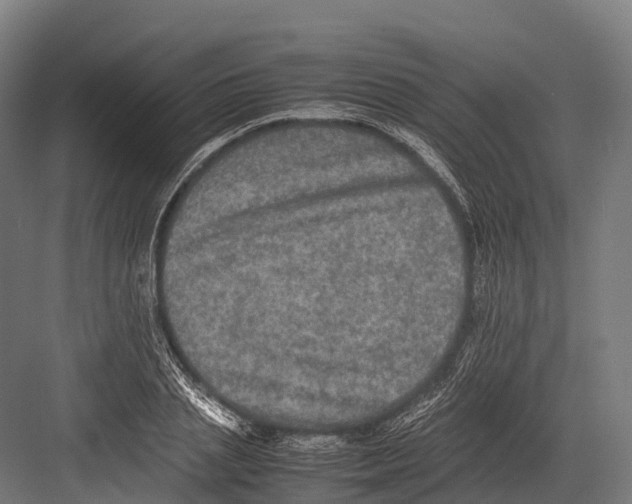 X0000081590837200702121512