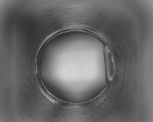 X0000081590838200702121512