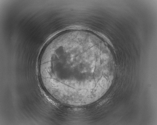 X0000081590839200702121512