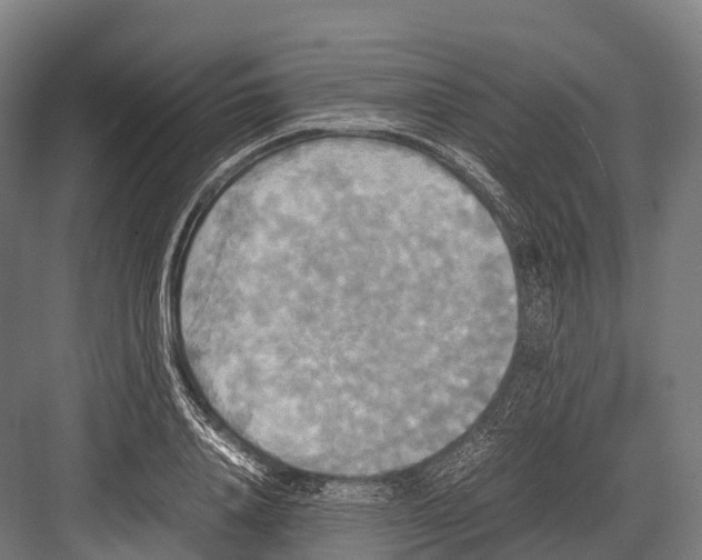 X0000081590840200702121512