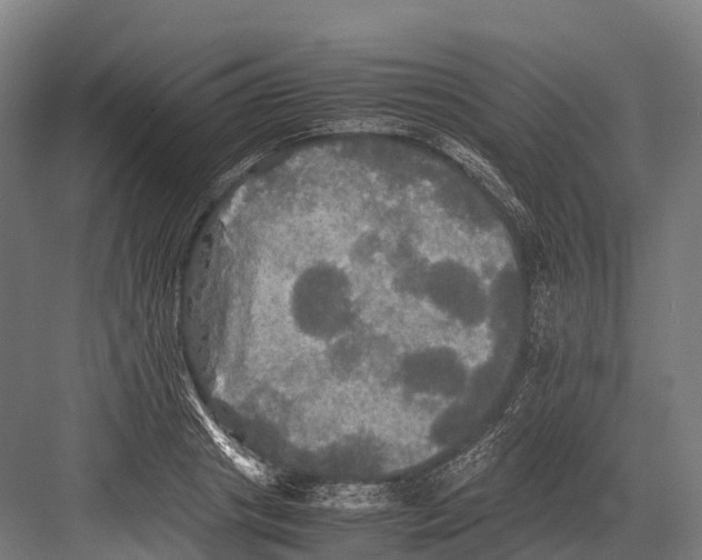 X0000081590841200702121512