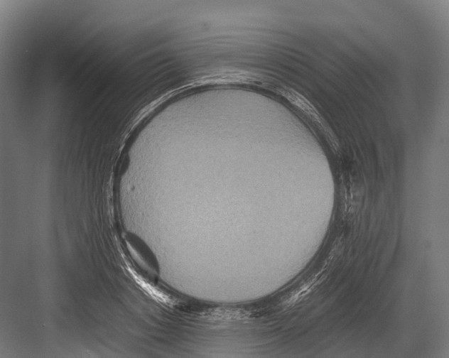 X0000081590842200702121512