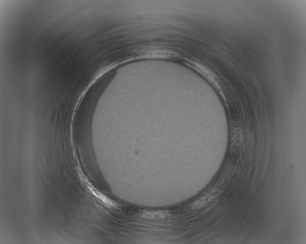 X0000081590843200702121512