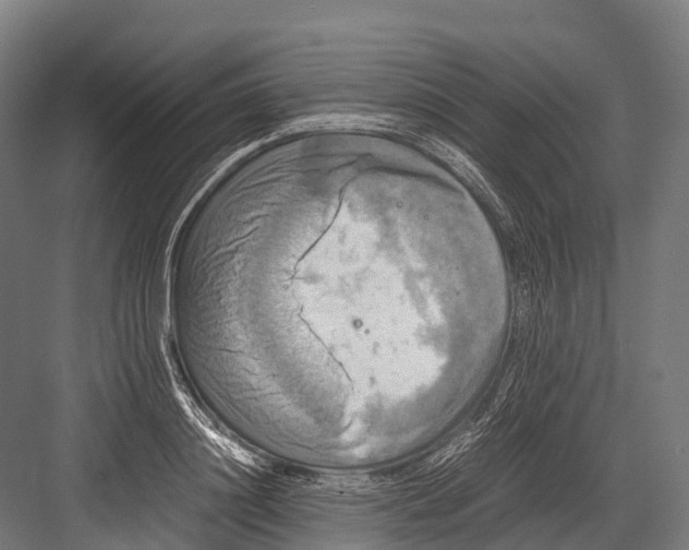 X0000081590844200702121512