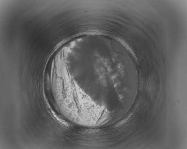 X0000081590845200702121512