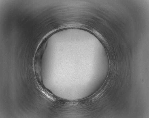 X0000081590846200702121512