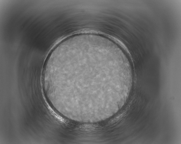 X0000081590847200702121512