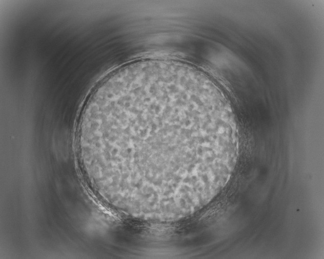 X0000081590848200702121512