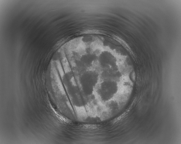 X0000081590849200702121512