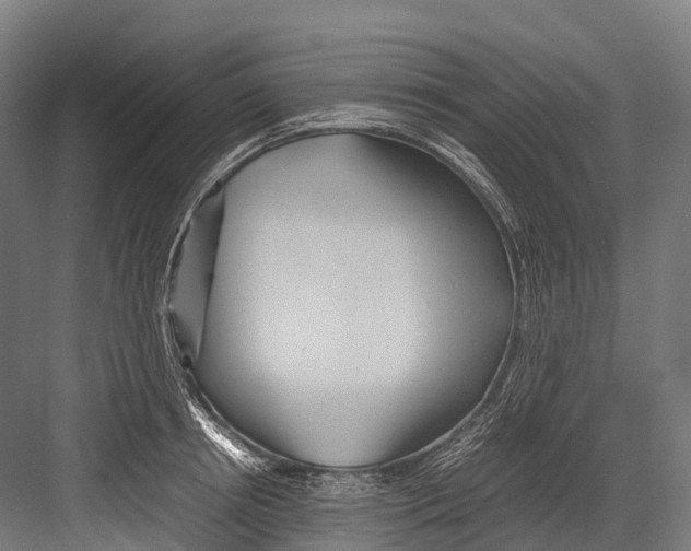 X0000081590850200702121512