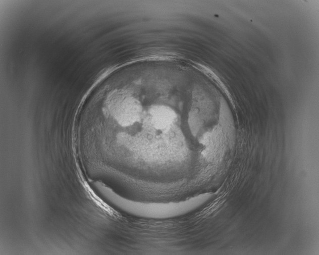 X0000081590851200702121512