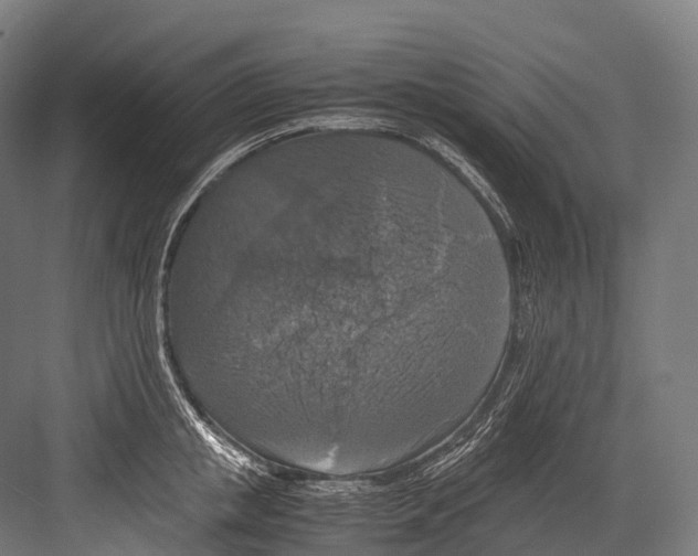 X0000081590853200702121512