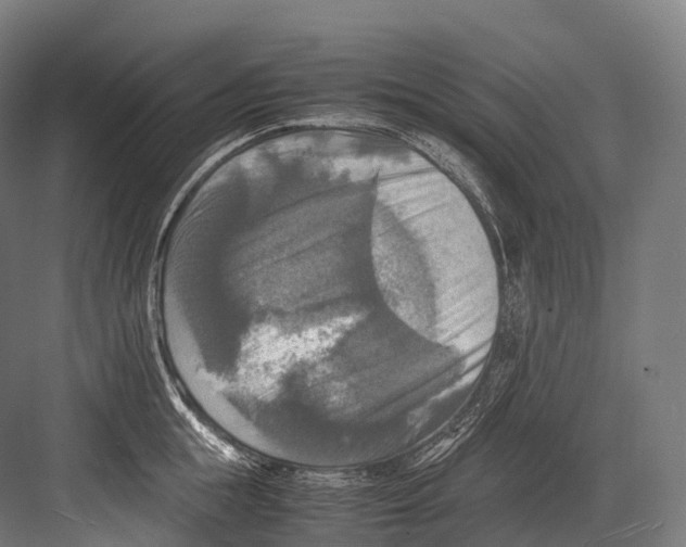 X0000081590855200702121512