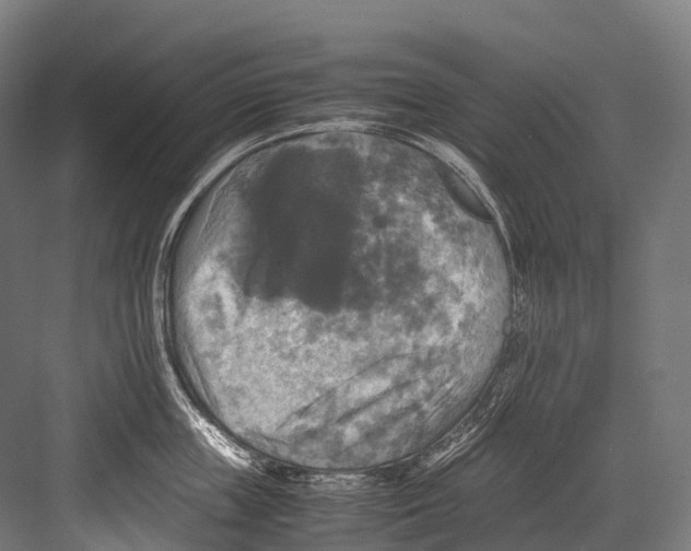 X0000081590859200702121512