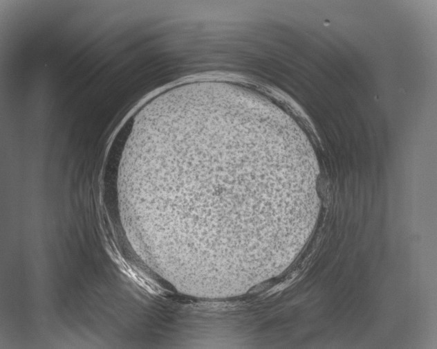 X0000081590860200702121512