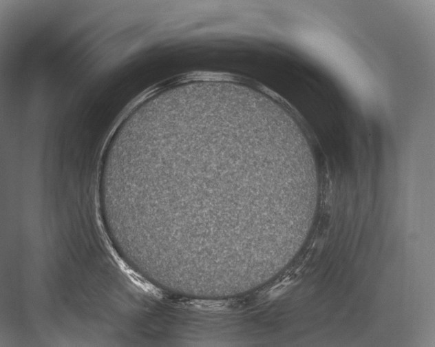 X0000081590861200702121512