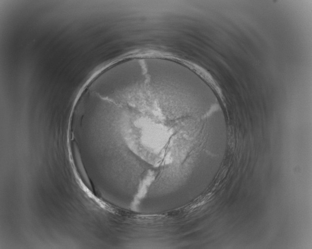 X0000081590863200702121512