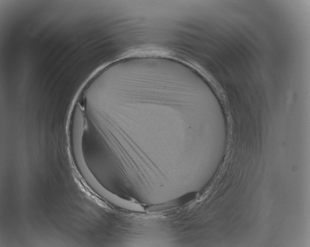 X0000081590864200702121512