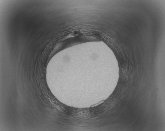 X0000081590865200702121511